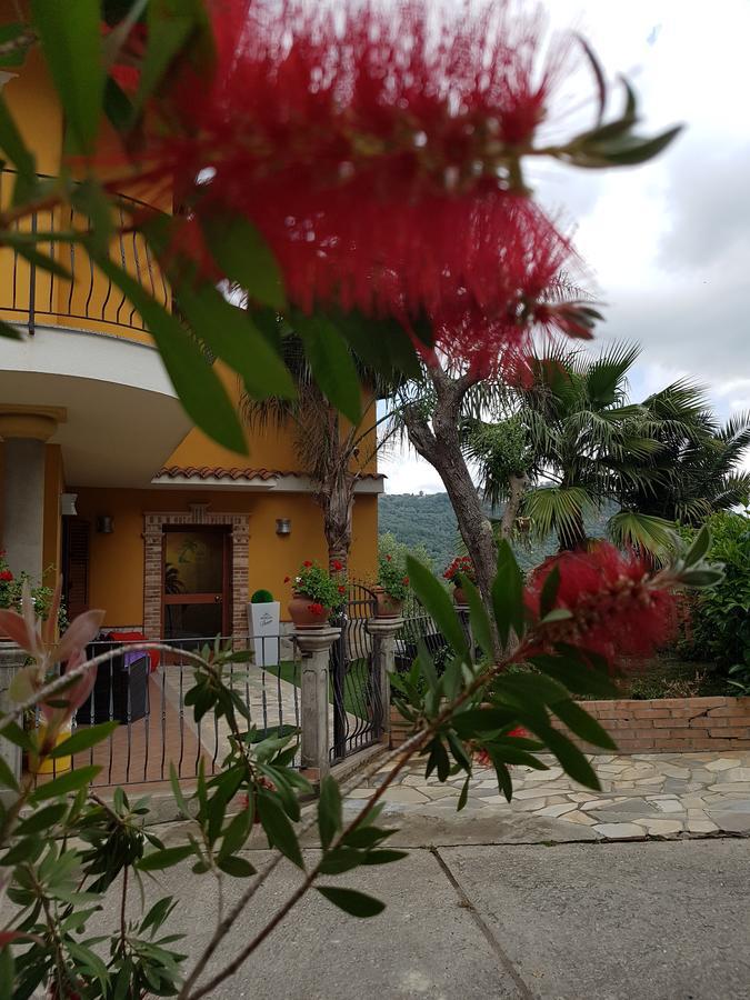 Bed and Breakfast San Pietro Mileto Exterior foto